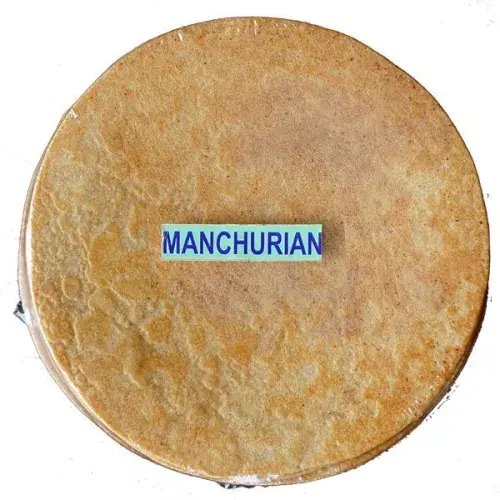 Manchuriyan Khakhra
